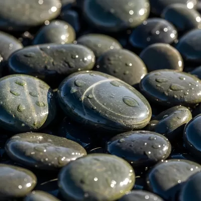 Imagen PNG para descargar